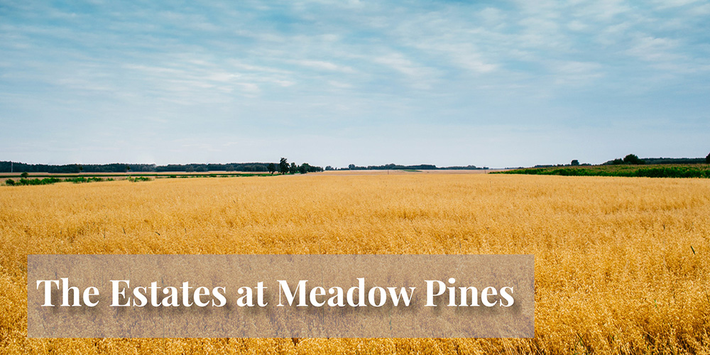 The Estates at Meadow Pines Community by HBD Homes